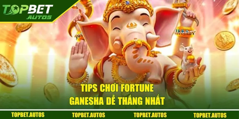 Tips chơi Fortune Ganesha dễ thắng nhất 