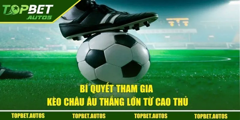 Bật mí những bí quyết cực hay giúp hội viên thắng lớn